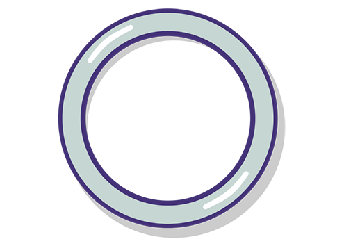 The Vaginal Ring